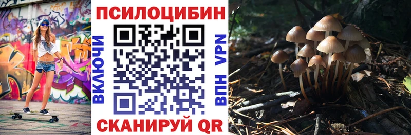 Галлюциногенные грибы Magic Shrooms  МЕГА как войти  Ливны 