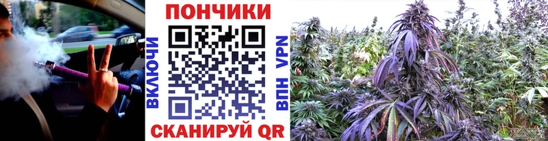 наркошоп  Ливны  Каннабис семена 